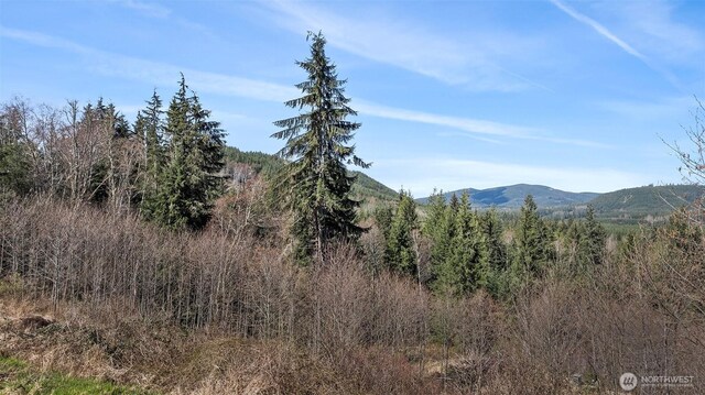 19203 456th St E, Eatonville, WA 98328