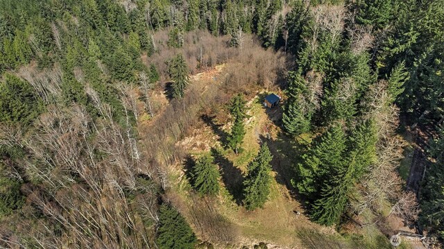 19203 456th St E, Eatonville, WA 98328