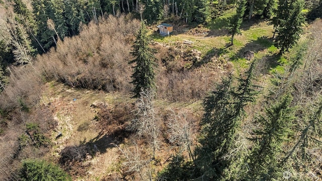19203 456th St E, Eatonville, WA 98328