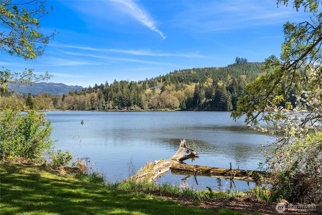 view of water feature featuring a mountain view and a wooded view