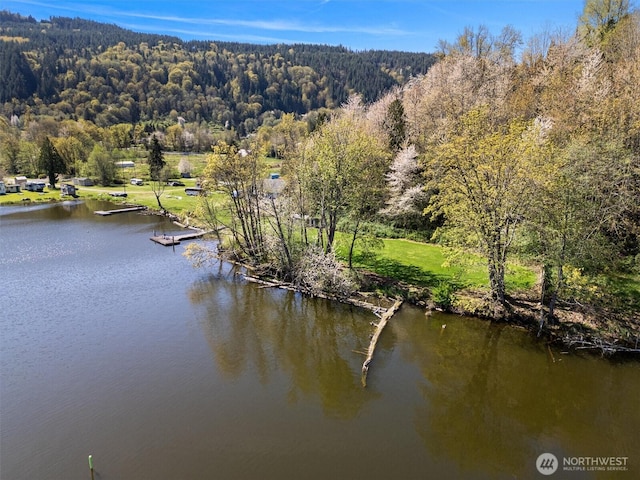 drone / aerial view featuring a view of trees and a water view