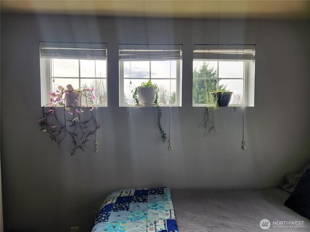 9244 Carys St SE, Yelm, WA 98597 - bedroom with carpet flooring and multiple windows