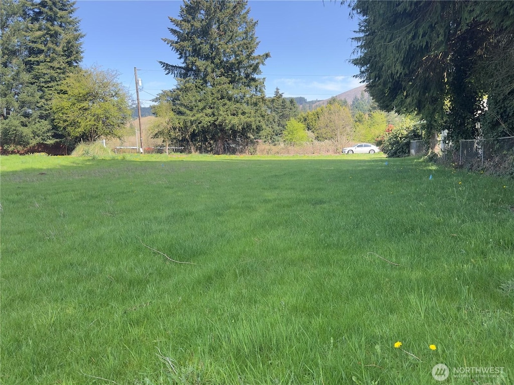 715 NE Pioneer Ave NE, Castle Rock, WA 98611 - photo 2