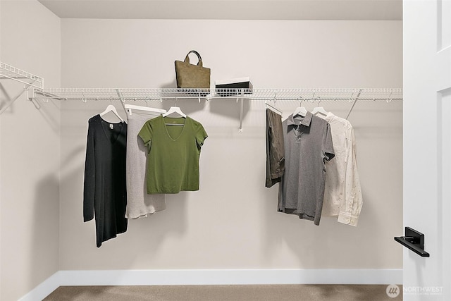 14232 SE 284th Pl, Kent, WA 98042 - view of walk in closet