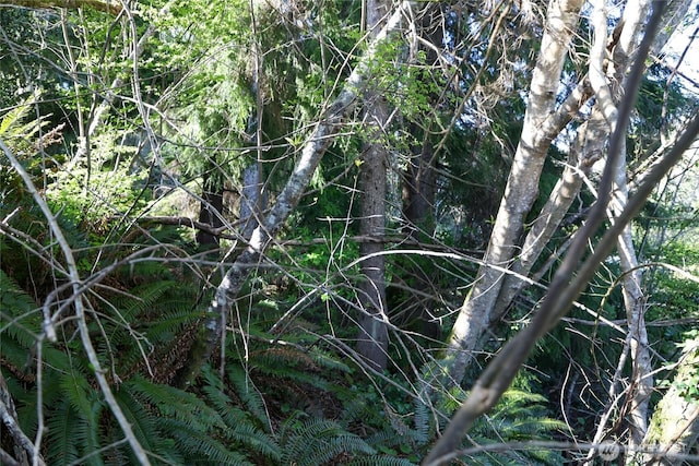 0 Duffy St, Aberdeen, WA 98520 - photo 2