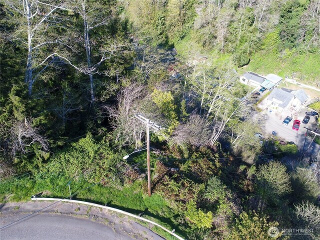 0 Duffy St, Aberdeen, WA 98520 - photo 6