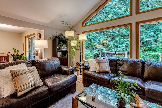 living area featuring a healthy amount of sunlight and vaulted ceiling