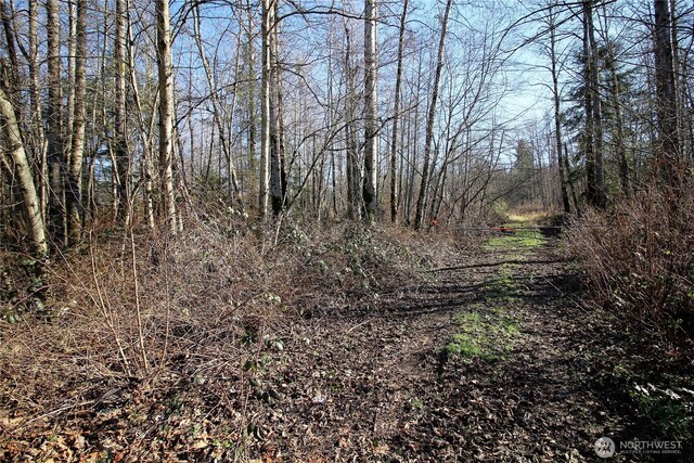 13419 SE Petrovitsky Rd, Renton, WA 98058 - photo 14