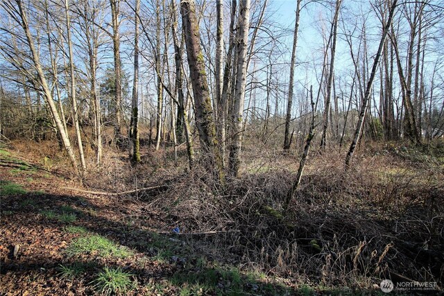 13419 SE Petrovitsky Rd, Renton, WA 98058 - photo 15