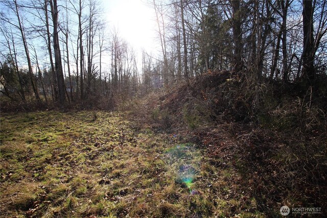 13419 SE Petrovitsky Rd, Renton, WA 98058 - photo 20
