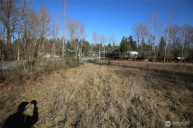 13419 SE Petrovitsky Rd, Renton, WA 98058 - photo 22