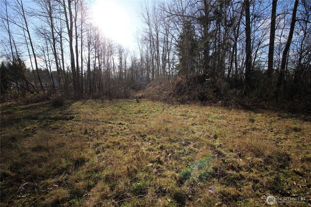 13419 SE Petrovitsky Rd, Renton, WA 98058 - photo 23