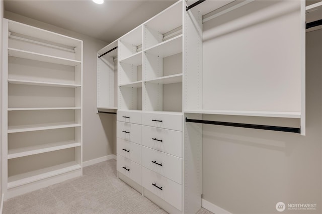spacious closet with light carpet