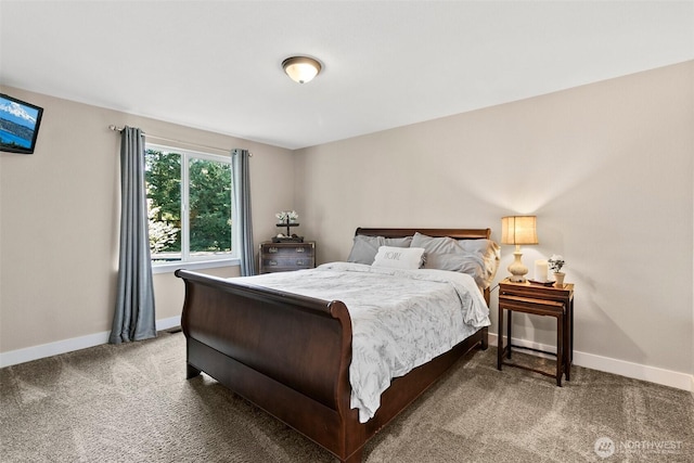 24264 133rd Ave SE, Kent, WA 98042 - bedroom with carpet floors and baseboards