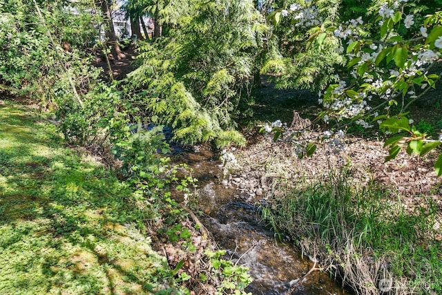 24264 133rd Ave SE, Kent, WA 98042 - view of nature
