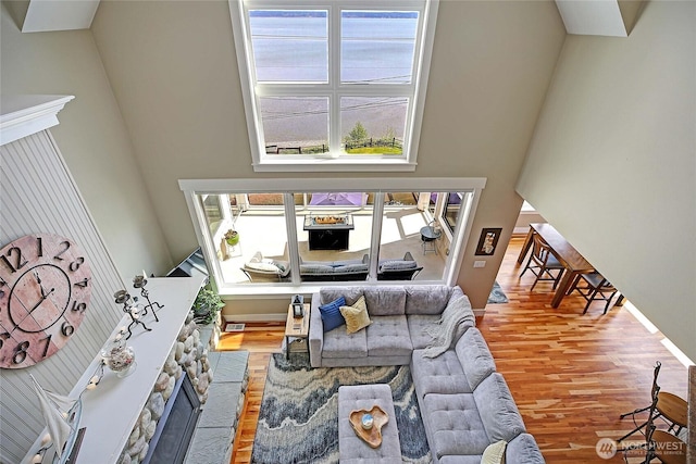 living room featuring wood finished floors, a high ceiling, and a healthy amount of sunlight
