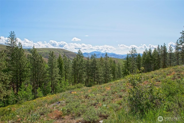 0 7whitebark Ln, Winthrop, WA 98862