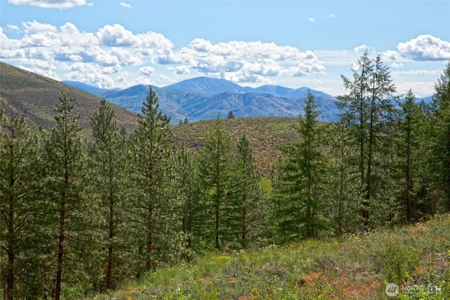0 7whitebark Ln, Winthrop, WA 98862