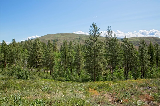 0 7whitebark Ln, Winthrop, WA 98862