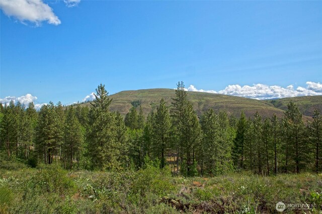 0 7whitebark Ln, Winthrop, WA 98862