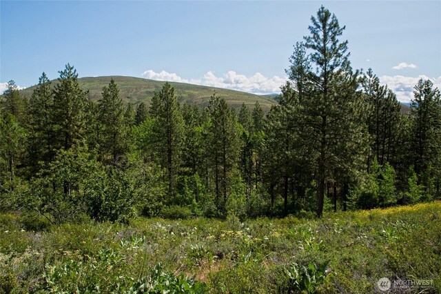 0 7whitebark Ln, Winthrop, WA 98862