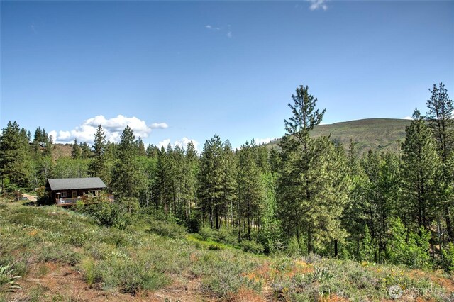 0 7whitebark Ln, Winthrop, WA 98862