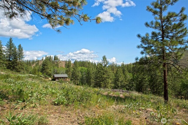 0 7whitebark Ln, Winthrop, WA 98862