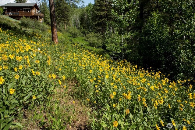 0 7whitebark Ln, Winthrop, WA 98862