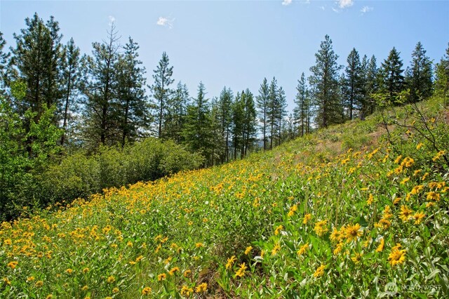 0 7whitebark Ln, Winthrop, WA 98862