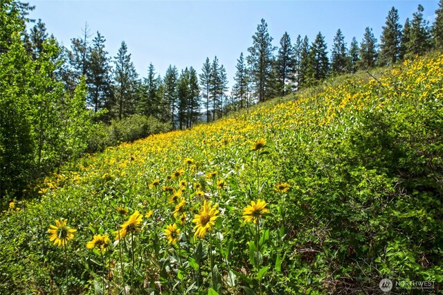 0 7whitebark Ln, Winthrop, WA 98862