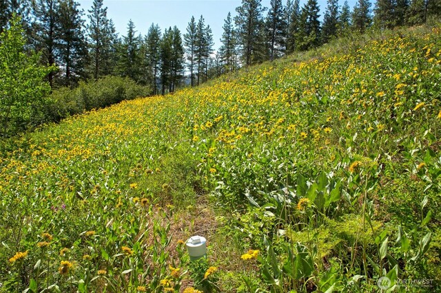 0 7whitebark Ln, Winthrop, WA 98862