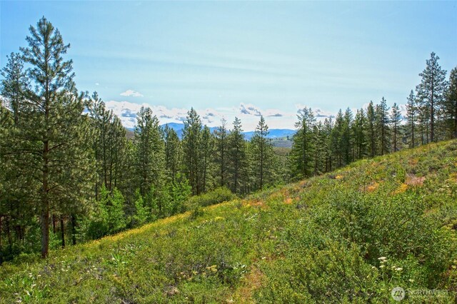 0 7whitebark Ln, Winthrop, WA 98862