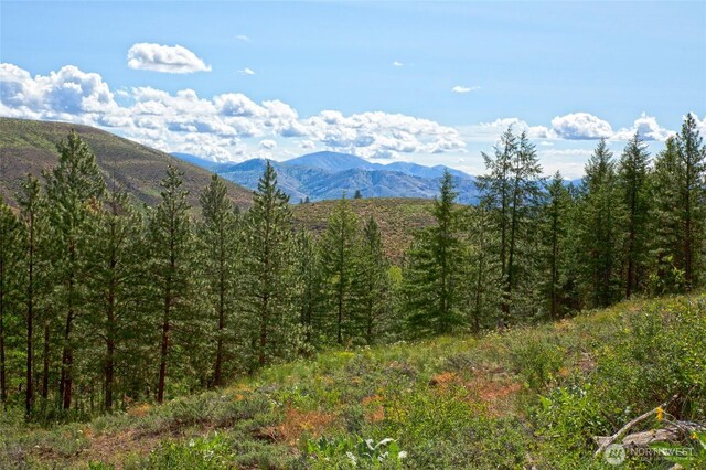 0 7whitebark Ln, Winthrop, WA 98862