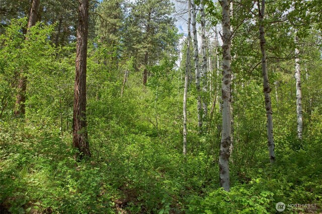 0 7whitebark Ln, Winthrop, WA 98862
