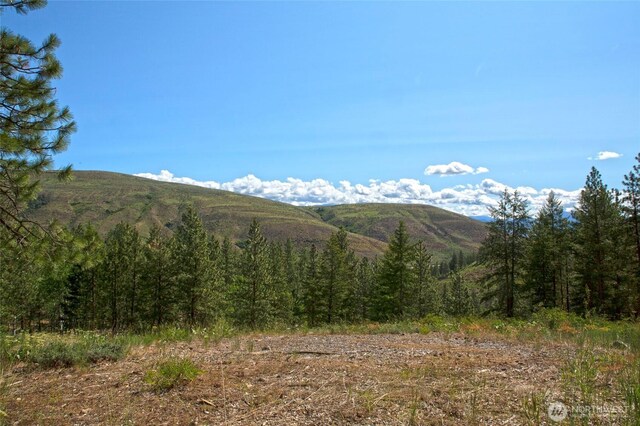 0 7whitebark Ln, Winthrop, WA 98862