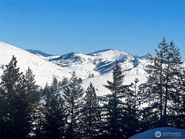 0 7whitebark Ln, Winthrop, WA 98862
