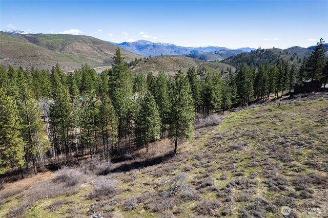 0 7whitebark Ln, Winthrop, WA 98862