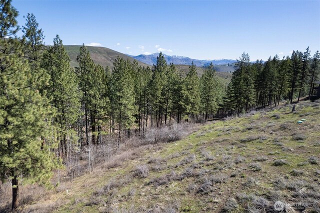 0 7whitebark Ln, Winthrop, WA 98862