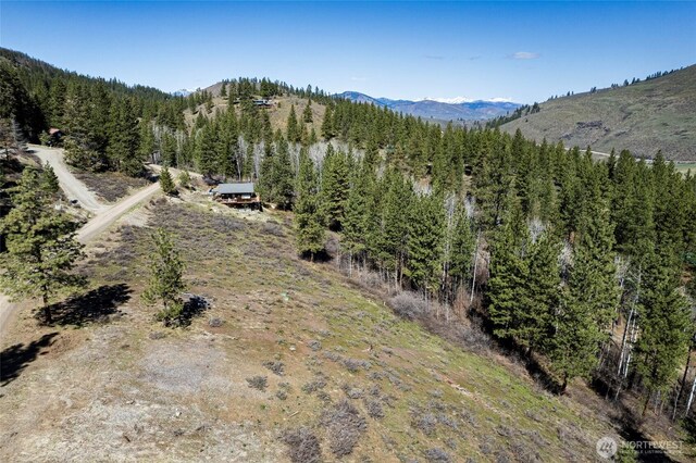 0 7whitebark Ln, Winthrop, WA 98862