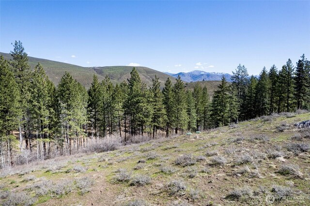 0 7whitebark Ln, Winthrop, WA 98862