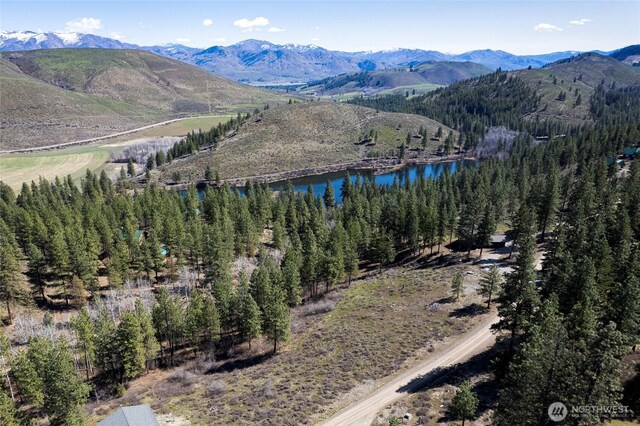 0 7whitebark Ln, Winthrop, WA 98862