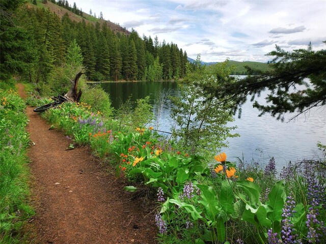 0 7whitebark Ln, Winthrop, WA 98862