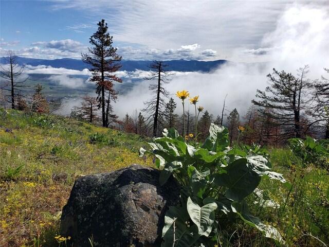 0 7whitebark Ln, Winthrop, WA 98862