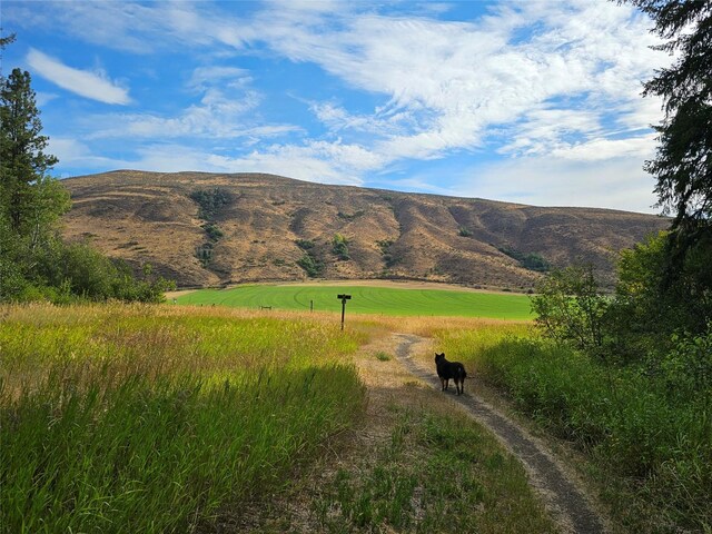 0 7whitebark Ln, Winthrop, WA 98862