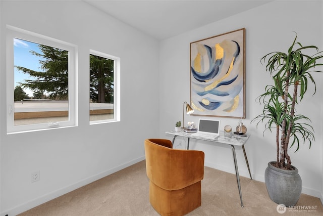 431 19th Ave E, Seattle, WA 98112 - office area with carpet and baseboards