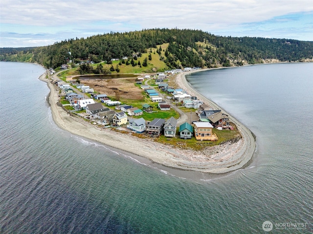 840 Beckett Point Rd, Port Townsend, WA 98368 - birds eye view of property with a water view and a forest view