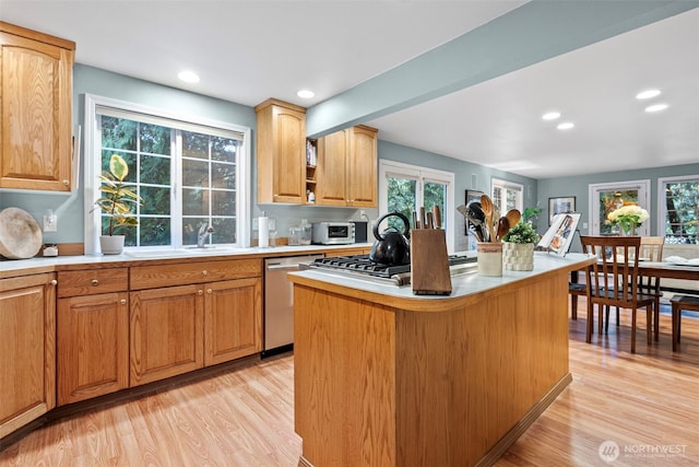 2336 Killarney Ct NW, Olympia, WA 98502 - kitchen with light wood finished floors, light countertops, stainless steel appliances, and a sink