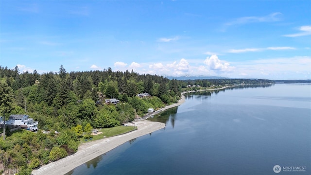 2336 Killarney Ct NW, Olympia, WA 98502 - bird's eye view of a heavily wooded area and a nearby body of water