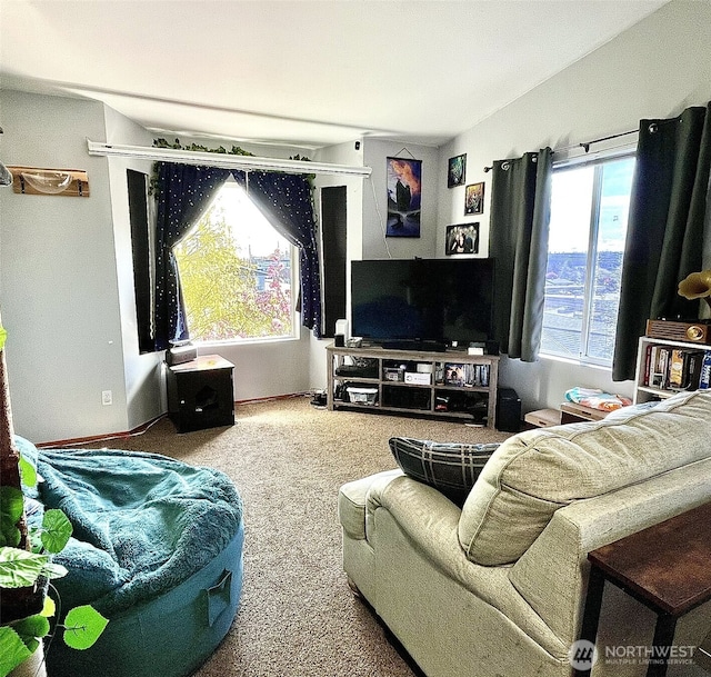 living area with carpet flooring