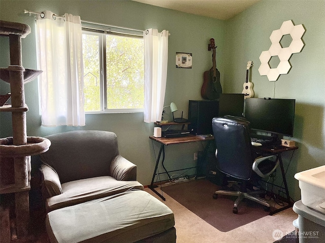 office space with carpet